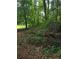 Wooded side yard with natural foliage, creating a tranquil outdoor space at 101 Royal Way, Mcdonough, GA 30252