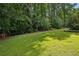 Expansive backyard lawn surrounded by mature trees and lush landscaping at 6175 Weatherly Dr, Sandy Springs, GA 30328
