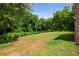 Large backyard featuring a mix of green grass, mature trees, and a fenced boundary at 538 Main St, Palmetto, GA 30268