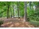 Scenic backyard with mature trees and a view of a building in the distance beyond a carpet of pine needles at 107 Barrington Hills Dr, Atlanta, GA 30350