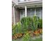 Lush garden featuring colorful blooms surrounds the front door and complements the home's exterior at 167 Diamond Ridge Ave, Canton, GA 30114
