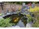 Picturesque koi pond featuring rock features, plants, and vibrant fish, creating a serene backyard retreat at 552 Warrenton Run Dr, Sugar Hill, GA 30518
