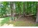 Lush backyard with mature trees, offering a private and tranquil outdoor space for relaxation and recreation at 325 Harris Loop, Dallas, GA 30157