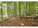 Secluded backyard surrounded by towering trees, creating a serene and natural oasis for outdoor enjoyment at 325 Harris Loop, Dallas, GA 30157