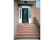 Arched front door with decorative sidelights and brick steps leading up to the entrance at 1255 Home Place Dr, Lawrenceville, GA 30043