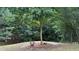 Lush backyard featuring a young tree on a small rise, complemented by dense surrounding foliage at 3066 Gem Creek Rd, Buford, GA 30519