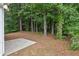 Beautiful backyard featuring mature trees, lush greenery, and a serene outdoor setting at 1528 Wembley Dr, Douglasville, GA 30134