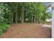 A spacious backyard with mature trees, lovely greenery, and a peaceful outdoor space at 1528 Wembley Dr, Douglasville, GA 30134