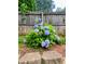 Hydrangeas flourish in front of the fence, adding charm and color to the outdoor space at 2913 Jordan Forest Trl, Lawrenceville, GA 30044