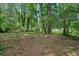 Wooded backyard with privacy and natural beauty offering serene surroundings at 109 Lake Latimer Ne Cv, Kennesaw, GA 30144