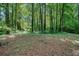 View of the wooded backyard showing the verdant forest and natural setting at 109 Lake Latimer Ne Cv, Kennesaw, GA 30144