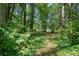The wooded lot provides a private and serene outdoor space at 109 Lake Latimer Ne Cv, Kennesaw, GA 30144