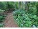 Landscaped yard featuring lush greenery and flowering hydrangeas at 109 Lake Latimer Ne Cv, Kennesaw, GA 30144