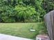 Spacious backyard with lush lawn, bordered by mature trees and a wooden fence at 3473 Newtons Crest Cir, Snellville, GA 30078