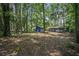 Large backyard surrounded by tall trees, perfect for outdoor activities at 539 Karen Dr, Alpharetta, GA 30009