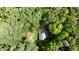 Overhead aerial view of home surrounded by trees at 6896 Heardsville Rd, Cumming, GA 30028