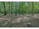 Large backyard with lots of mature trees at 6896 Heardsville Rd, Cumming, GA 30028