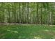Expansive backyard featuring mature trees and lush green grass at 6896 Heardsville Rd, Cumming, GA 30028