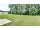 Large green backyard with views of the neighborhood and surrounding forest at 313 Sobeck Way, Canton, GA 30115