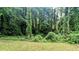 Serene backyard with mature trees and lush greenery offering privacy at 3646 Salem Dr, Lithonia, GA 30038