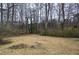 Image of a wooded lot and the large backyard at 4225 Parkridge Dr, Powder Springs, GA 30127