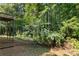 View of the lush, wooded backyard with a deck extending from the house and plenty of green foliage at 165 Lost Lake Trl, Villa Rica, GA 30180