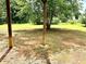 The backyard has green grass and trees, offering plenty of space for outdoor activities and relaxation at 203 Galway Ln, Hampton, GA 30228