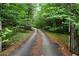 Long paved driveway through a lush, green wooded area leading to the property at 790 Friendship Church Rd, Douglasville, GA 30134