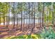 Picturesque view of a backyard with mature trees and a tranquil lake in the distance at 504 Telfair Park, Peachtree City, GA 30269