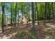 Large backyard with lush greenery and trees, providing a private and peaceful outdoor retreat at 4816 Morning Chase Nw, Acworth, GA 30102