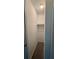 Carpeted walk-in closet with rod at 525 Cherokee Overlook Ct, Canton, GA 30115