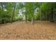 Wooded backyard covered with pine straw and interspersed with trees in a partially fenced yard at 747 Channing Nw Dr, Atlanta, GA 30318