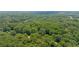 Panoramic aerial view of a lush, green landscape with dense trees and a glimpse of the community beyond at 3597 Embry Cir, Atlanta, GA 30341