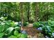 Enchanting wooded path lined with blue hydrangeas, creating a serene and inviting natural landscape at 17 Shotgun Nw Rd, Cartersville, GA 30121