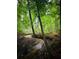 Wooded backyard featuring a natural stream, lush greenery, and a tranquil setting at 7235 Compton Cir, Cumming, GA 30040