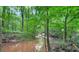 Secluded backyard features a small stream surrounded by lush greenery at 4000 Mcpherson Drive Dr, Acworth, GA 30101