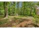 View of the wooded backyard with a shed nestled among the trees at 425 Shelby Ln, Hiram, GA 30141