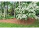The beautiful tree and greenery add natural beauty to the property at 4810 Lismoor Trce, Mableton, GA 30126