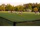 Lacrosse field with players in action, and a blue tent in the background at 11255 Knollwood Bnd, Johns Creek, GA 30097