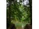 Scenic water view framed by lush greenery, steps leading down to the river at 11255 Knollwood Bnd, Johns Creek, GA 30097