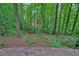 Landscaped backyard surrounded by lush greenery and mature trees offering a private, serene outdoor space at 3267 Standing Peachtree Trl, Kennesaw, GA 30152