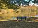 Lakeside view with a bench in the foreground and autumn foliage in the background at 501 Bridlepath Ln, Peachtree City, GA 30269