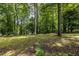 Lush backyard surrounded by mature trees, offering privacy and a natural setting at 1393 Sagewood Cir, Stone Mountain, GA 30083