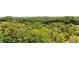 A serene aerial view showcases the lush greenery and tree coverage surrounding the property at 2045 Barrett Downs Dr, Cumming, GA 30040