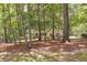 View of the home through the trees, showcasing its serene and private setting at 5581 Fox Glove Ct, Douglasville, GA 30135