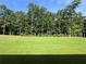 Expansive backyard with lush green grass and a backdrop of tall, mature trees at 2571 Se Ebenezer Rd, Conyers, GA 30094