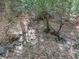Creek flowing through the lush, wooded backyard, a serene natural amenity at 1166 Upper Sweetwater Se Trl, White, GA 30184