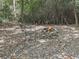Scenic backyard with stone firepit and chairs, surrounded by trees and natural foliage at 1166 Upper Sweetwater Se Trl, White, GA 30184