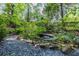 Backyard water feature surrounded by mature trees and shrubs, creating a serene outdoor oasis at 401 Emory Ne Dr, Atlanta, GA 30307