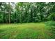 Lush green backyard and wooded area, perfect for nature lovers and those seeking privacy at 335 Whisper Way, Dacula, GA 30019